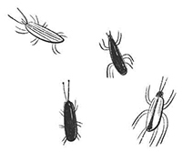 Малиса в Подмирье - i_017.jpg