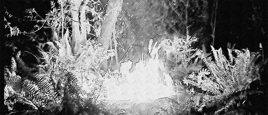 Избранные проекты мира: строительство руин. Руководство для чайников. Книга 3 - _3.jpg