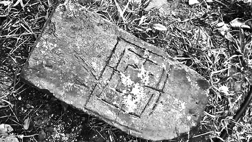 Всеобщая история игр. От фараона до смартфона - i_003.jpg