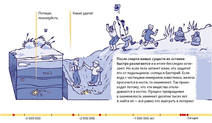 Путешествие во времени. Эволюция человека - i_011.jpg