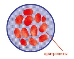 Расплетая ДНК: увлекательный путеводитель по генетике - i_010.jpg