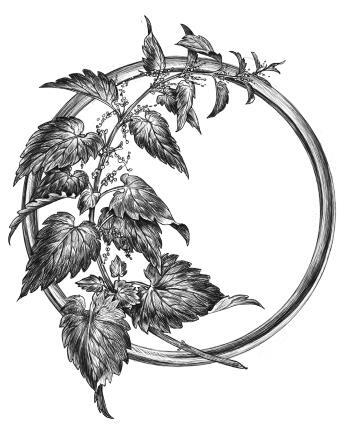 Золотая свирель. Том 1 - i_005.jpg