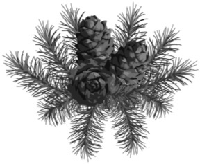 Зимняя книга сказок - b00000404.jpg