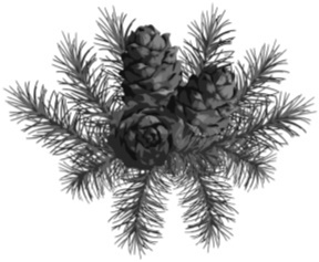 Зимняя книга сказок - b00000479.jpg