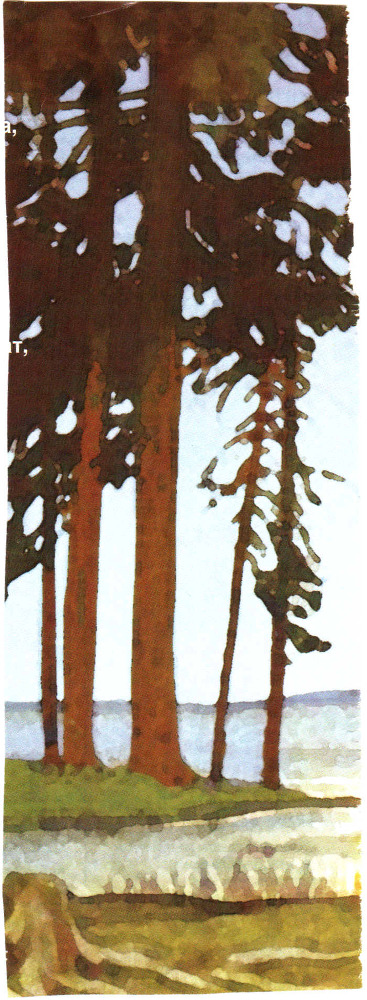 Я русскую землю люблю - _3.jpg