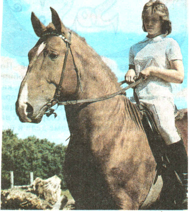 Я русскую землю люблю - _6.jpg