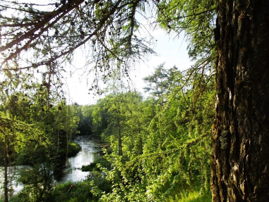 Семейный альбом - _3.jpg