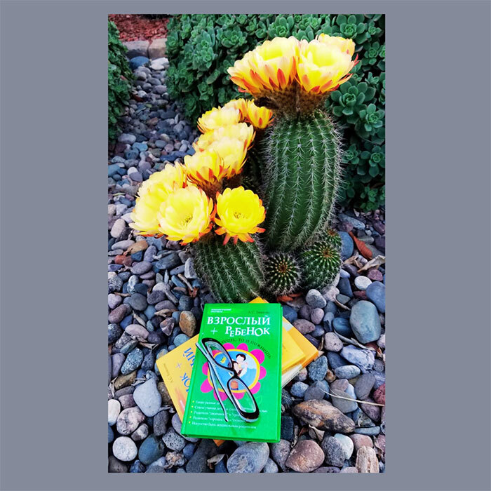 Мои жизненные причалы. Очаровательные очерки о такой же семье - i_006.jpg