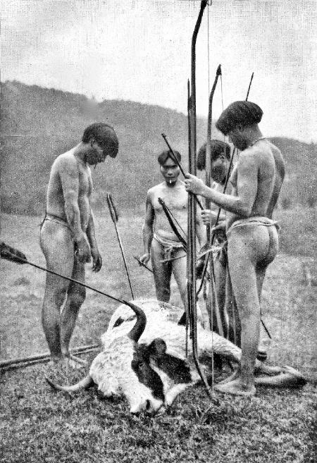 Бразилия. Полная история страны - i_009.jpg