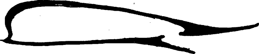 Лицо - img_5.png