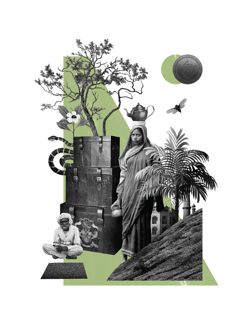 Чай. От листа до чашки: все, что нужно знать о сортах, заваривании и дегустации тем, для кого чай не просто напиток - i_002.jpg