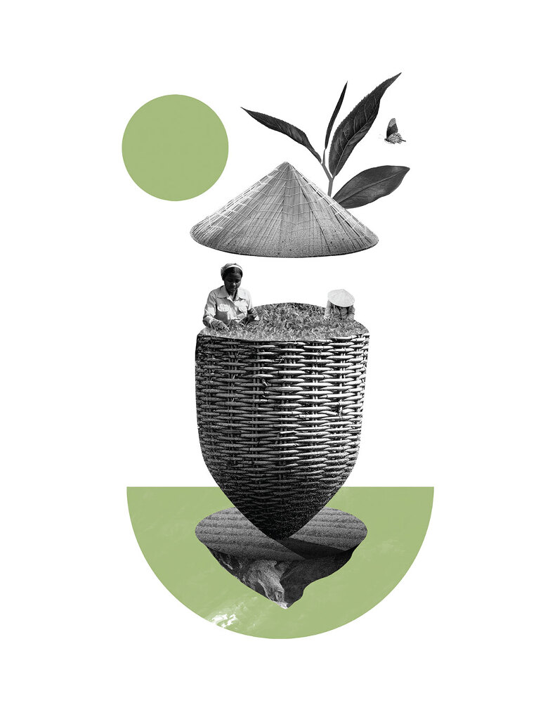 Чай. От листа до чашки: все, что нужно знать о сортах, заваривании и дегустации тем, для кого чай не просто напиток - i_004.jpg