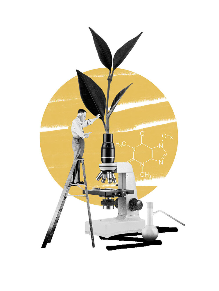 Чай. От листа до чашки: все, что нужно знать о сортах, заваривании и дегустации тем, для кого чай не просто напиток - i_007.jpg