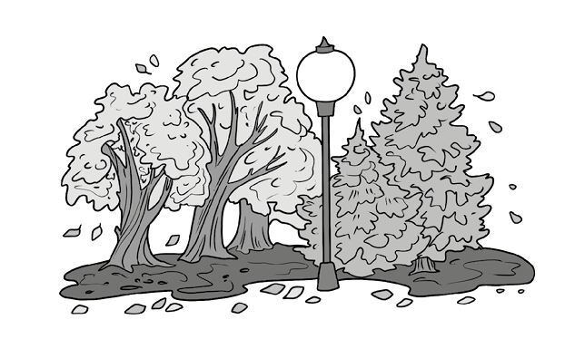 Шепот сердца. 15 уроков первой любви - i_009.jpg