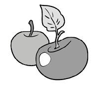 Шепот сердца. 15 уроков первой любви - i_020.jpg