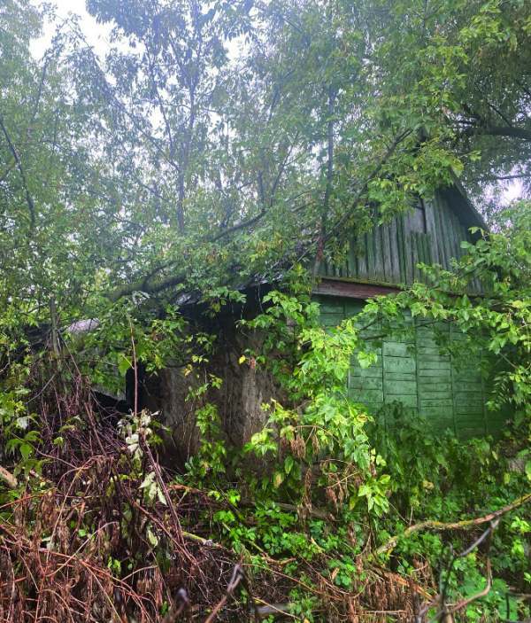 Женское настроение - i_007.jpg