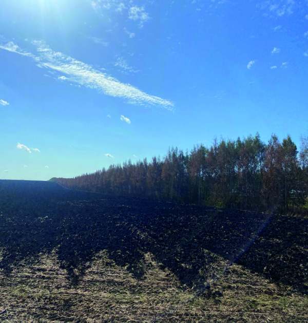 Женское настроение - i_008.jpg