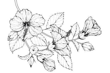 Разрушенная клятва - i_011.jpg