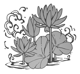 Карп, который мечтал стать драконом - i_004.jpg