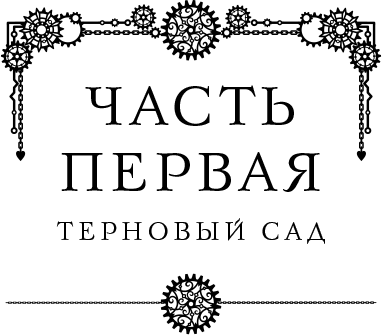 Проклятие дома Грезецких. Расследования механического сыщика - i_004.png