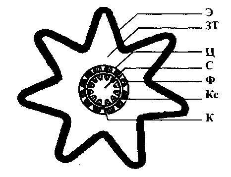 Культура кактусов - _10.jpg