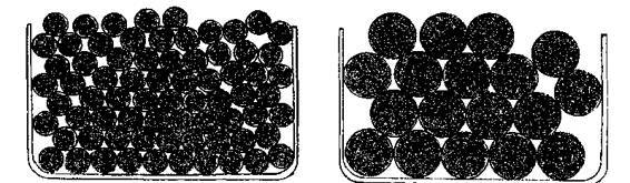 Культура кактусов - _102.jpg