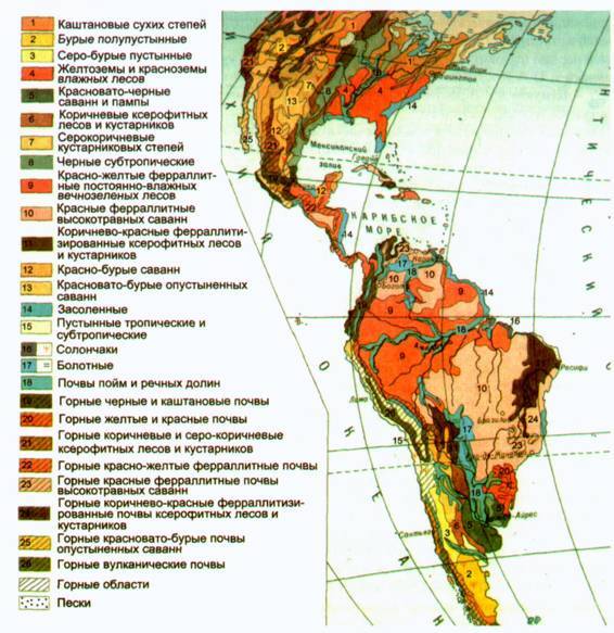 Культура кактусов - _103.jpg