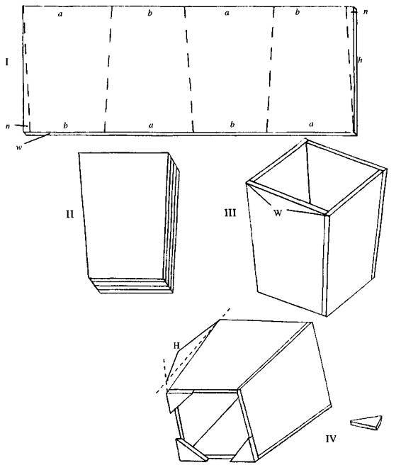 Культура кактусов - _105.jpg