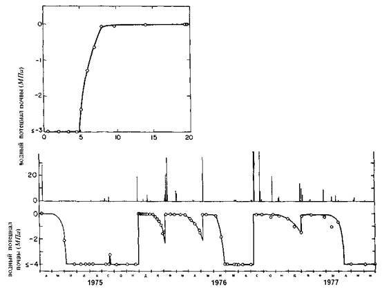 Культура кактусов - _112.jpg