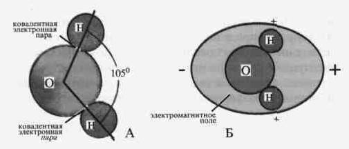 Культура кактусов - _115.jpg