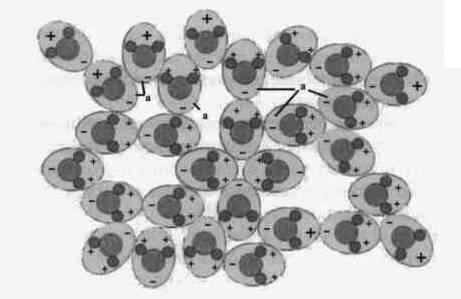 Культура кактусов - _116.jpg