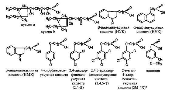 Культура кактусов - _119.jpg