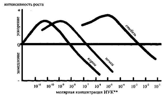Культура кактусов - _120.jpg