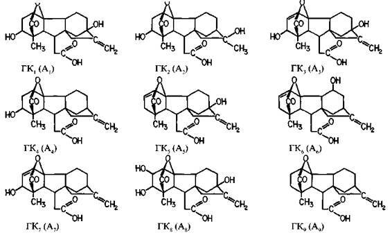 Культура кактусов - _123.jpg