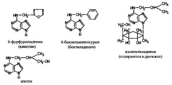 Культура кактусов - _126.jpg
