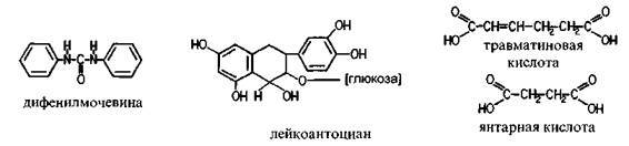 Культура кактусов - _135.jpg