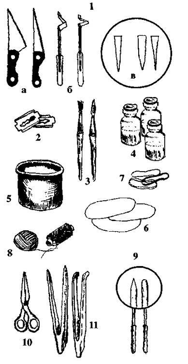 Культура кактусов - _172.jpg