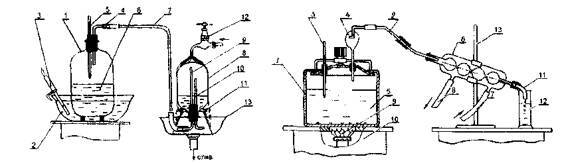 Культура кактусов - _217.jpg