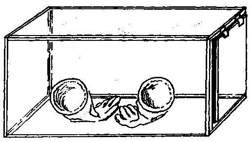 Культура кактусов - _218.jpg