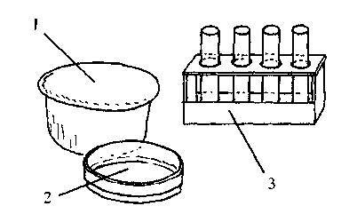 Культура кактусов - _219.jpg
