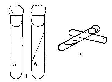 Культура кактусов - _220.jpg