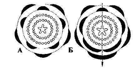 Культура кактусов - _234.jpg
