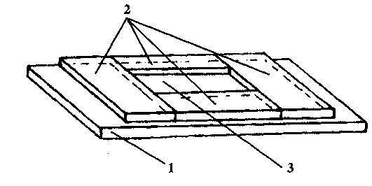 Культура кактусов - _263.jpg