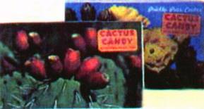 Культура кактусов - _272.jpg