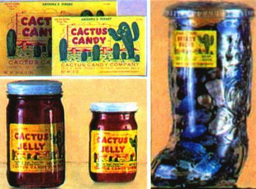 Культура кактусов - _273.jpg