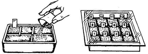 Культура кактусов - _314.jpg