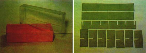 Культура кактусов - _318.jpg