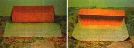 Культура кактусов - _319.jpg