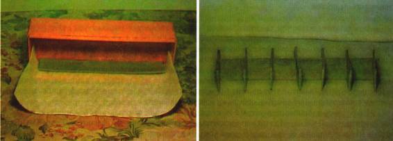 Культура кактусов - _320.jpg