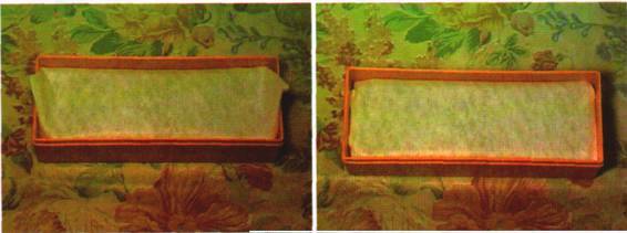 Культура кактусов - _322.jpg